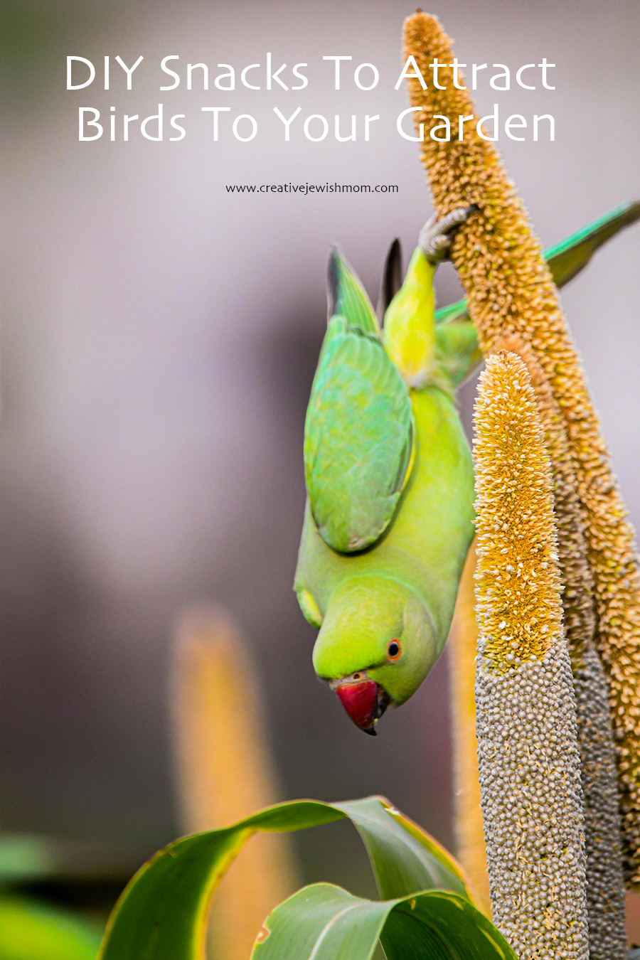9 Easy DIY Snacks That Will Attract Birds to Your Garden