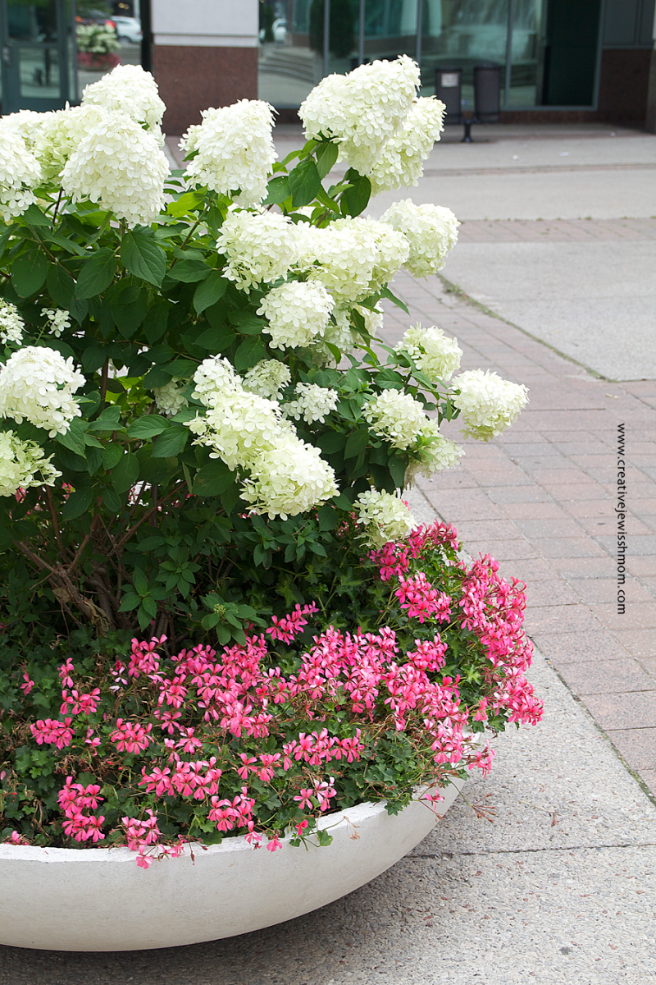 Eleven Great Tips For Assembling Stunning Containers