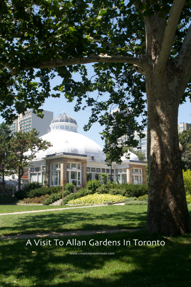 A Visit To Allan Gardens In Toronto
