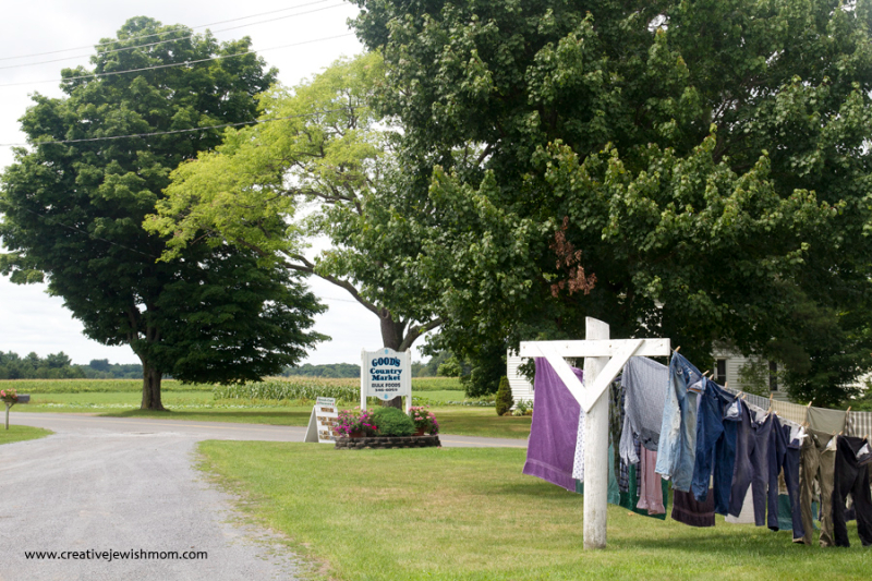Croghan, New York A Mennonite Dry Goods Store And Gladiolas With A Story