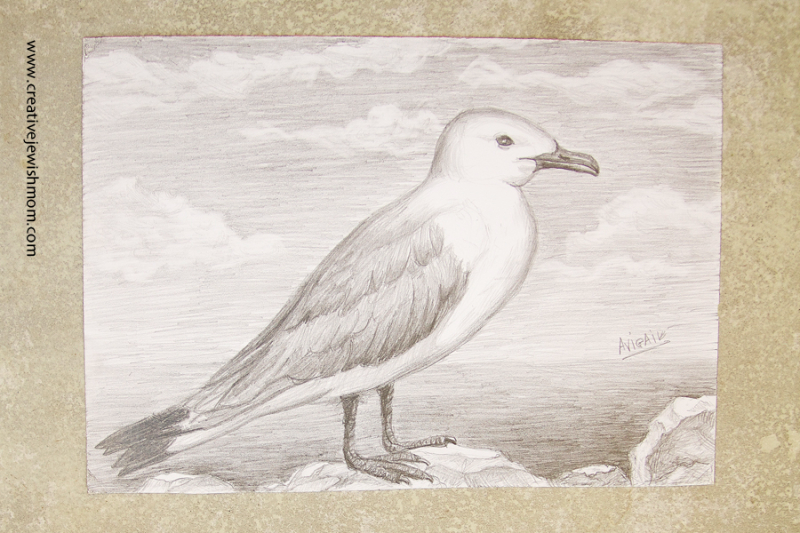 Pencil Drawing Exercises To Teach Light, Shadow And Volume