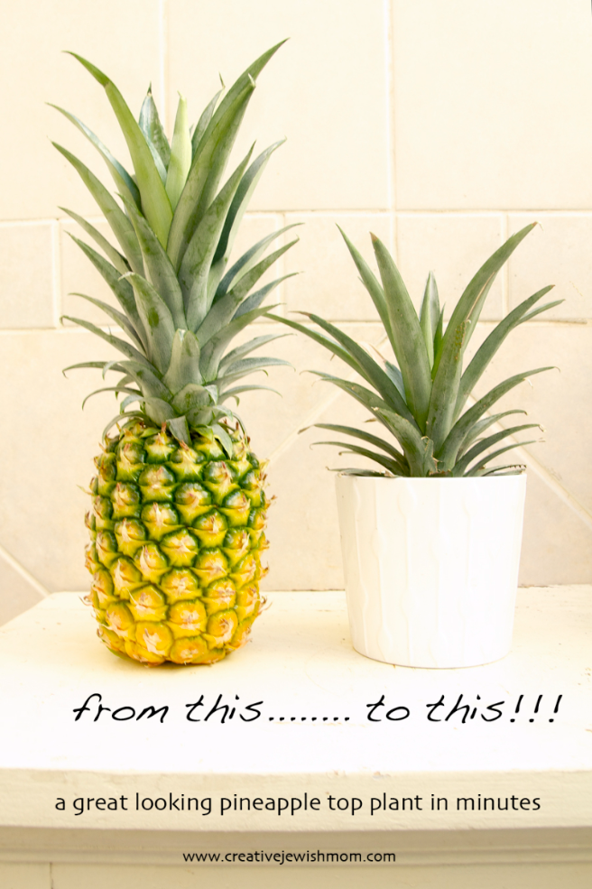 DIY Pineapple Top Plant In Just MInutes Makes A Great Summer Centerpiece!