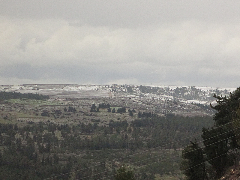Waiting For Snow In Northern Israel…..
