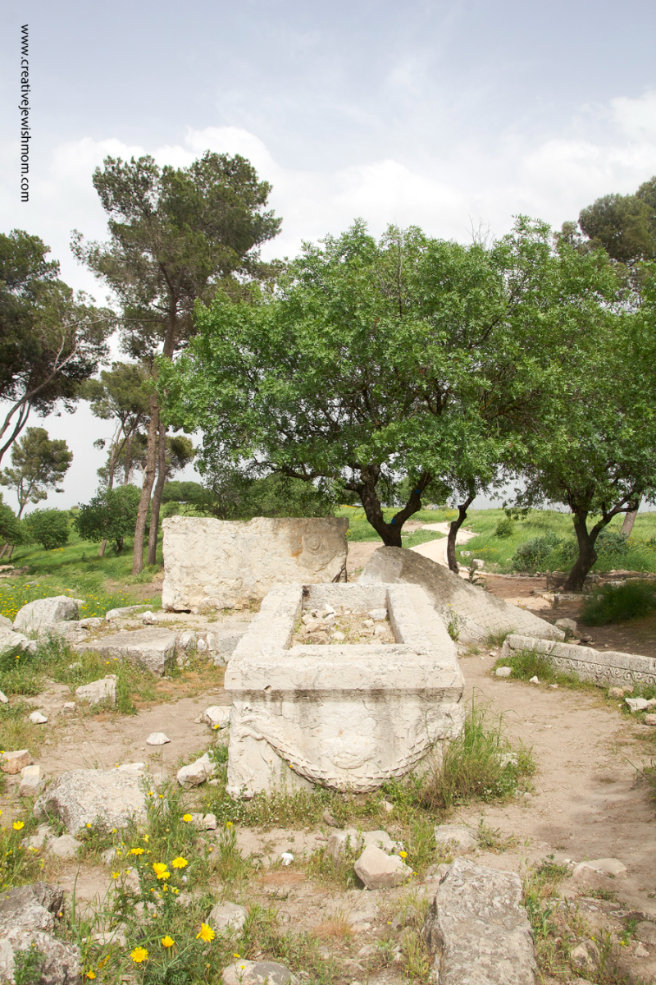 A Visit To The Gravesite Of Devorah The Prophetess