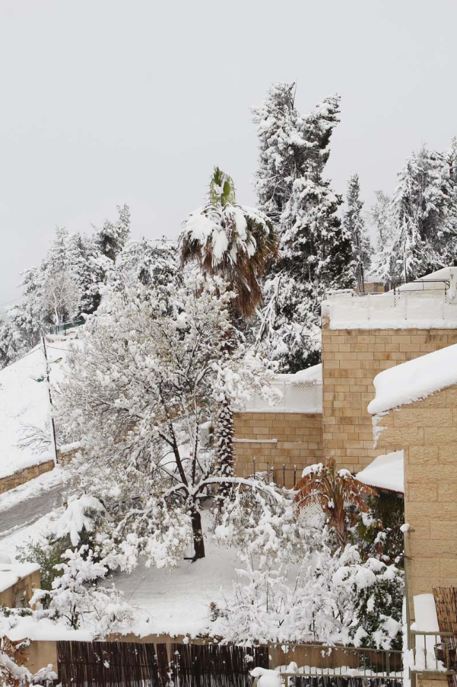 Lots Of Snow In Northern Israel At Last!