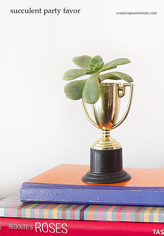 Succulent Party Favor Using Miniature Plastic Trophies