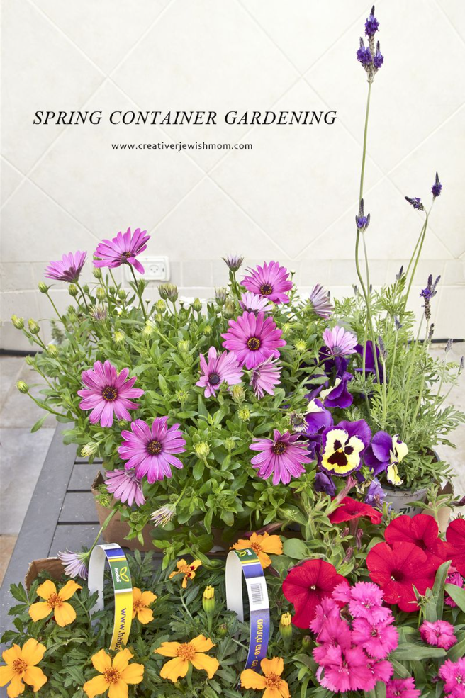Spring Container Gardening