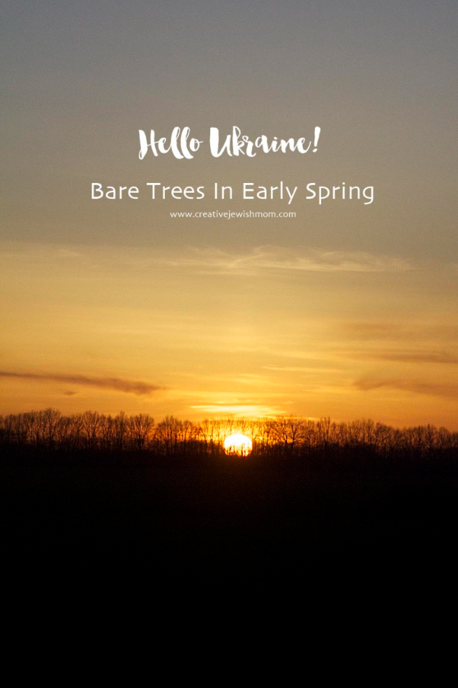 Bare Trees In The Ukraine: Inspiring Photos Taken From The Car Window