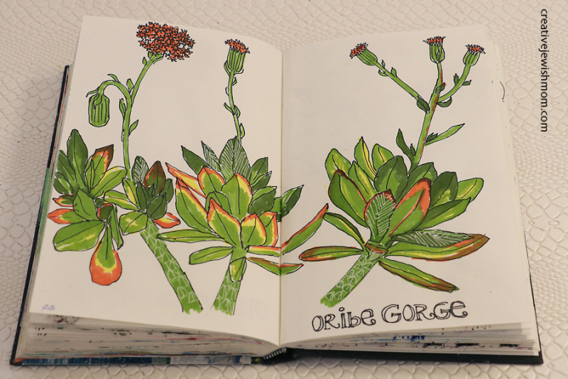 In My Sketchbook: Drawing Succulents With Markers