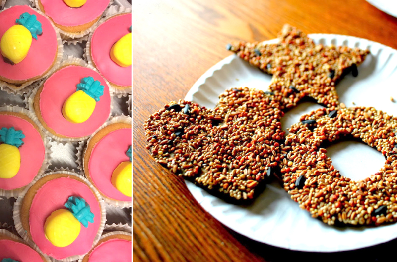 DIY hearts and stars bird feeder pineapple cupcakes