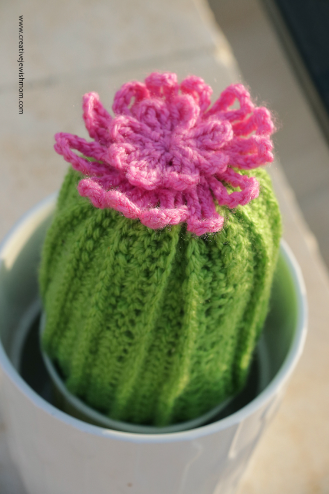 Simple Crocheted Cactus In Bloom