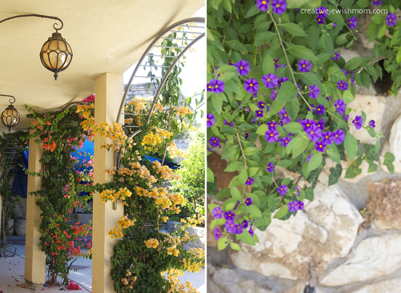 Essential Tips For Creating A Family-Friendly Garden