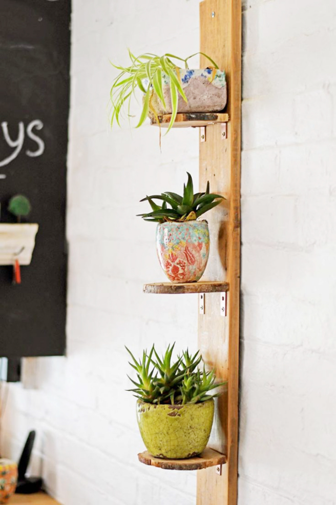 DIY-plant-shelves