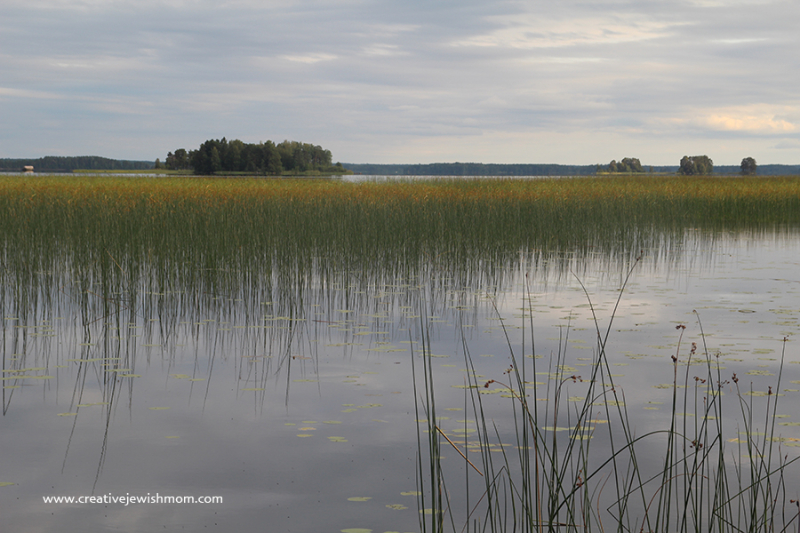 On The Banks Of The Dalalven River In Albo, Sweden