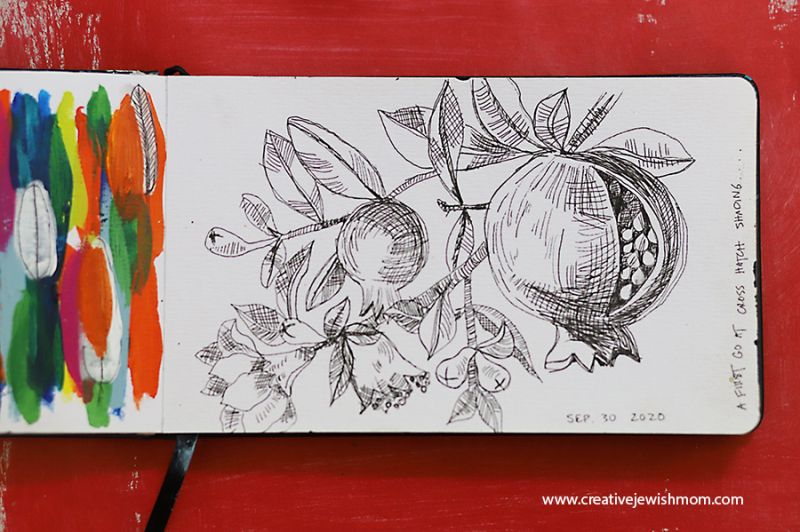 A Peek In My Sketchbook: Pomegranite Ink Drawing With Cross Hatching