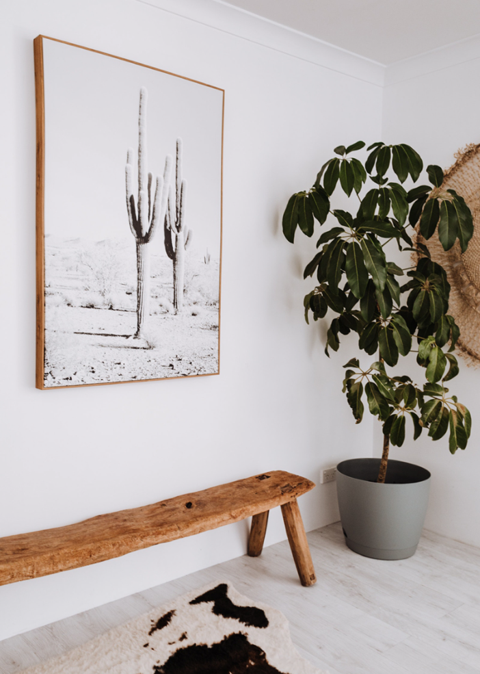 How To Choose The Right Sized Pot For Your Plant