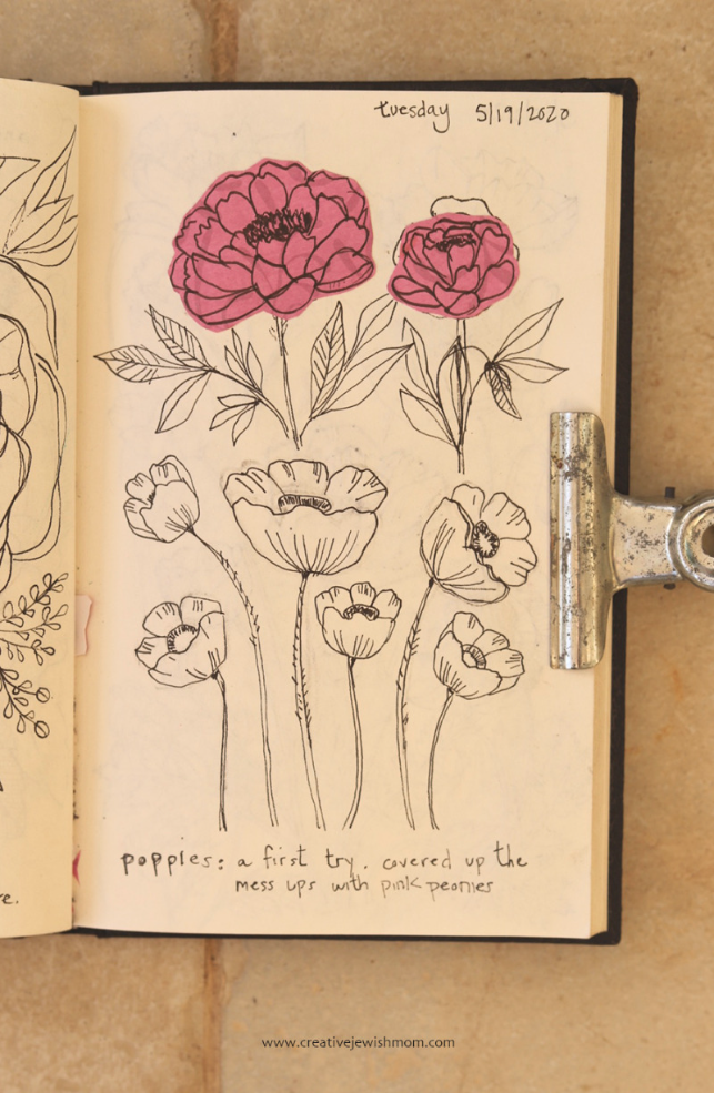 A Peek In My Sketchbook: Drawing Wild Poppies