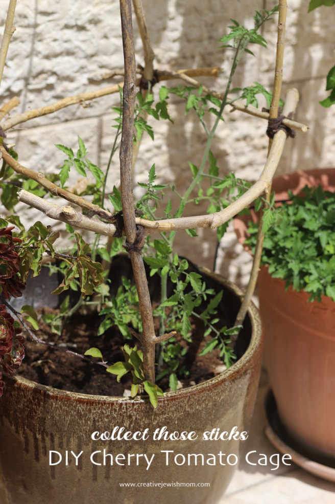 Garden Crafts: DIY Rustic Tomato Cage From Sticks