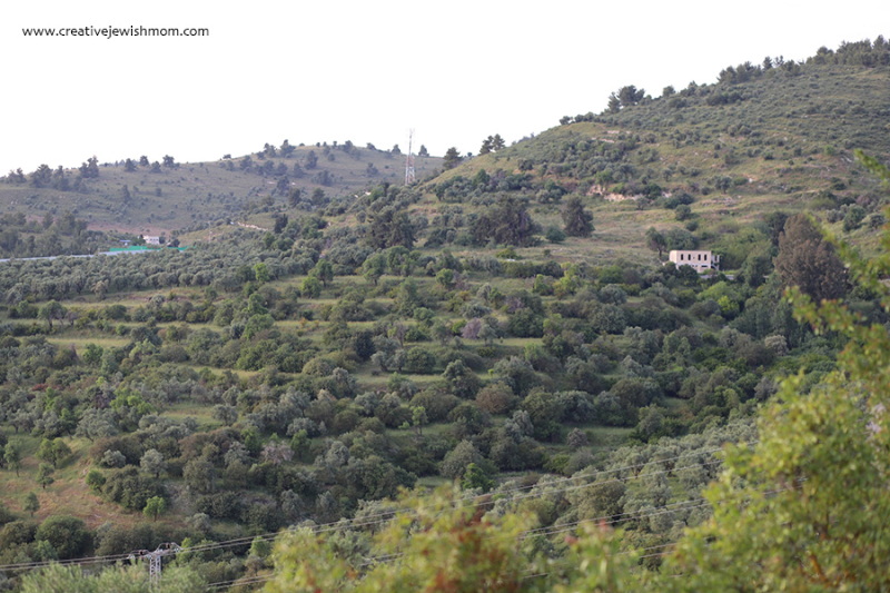 A Walk In The Neighborhood At Dusk Northern Israel Style