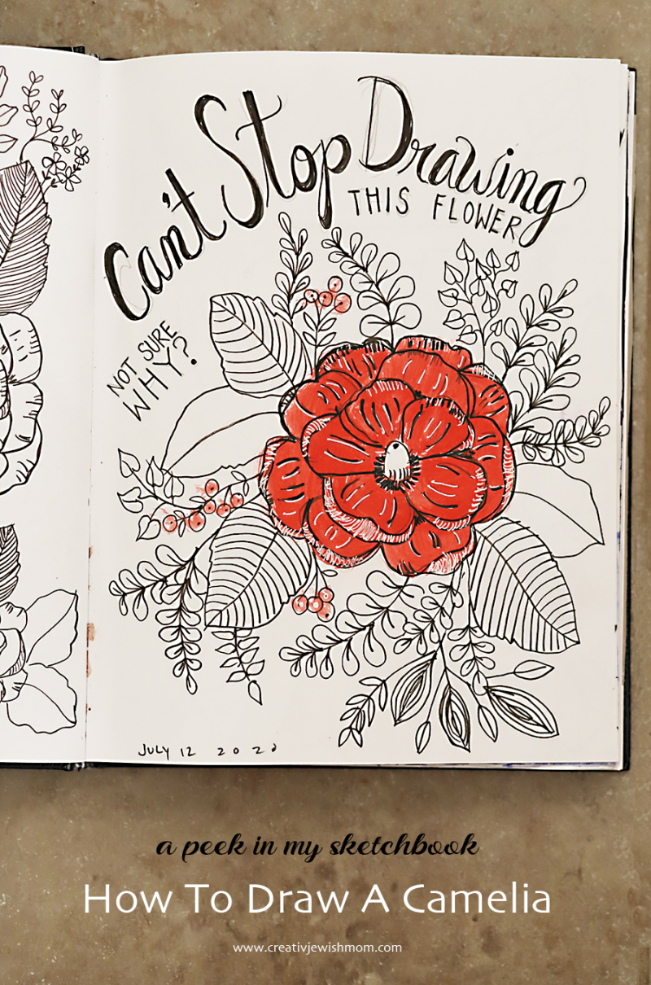 How To Draw A Camelia And Keep On Drawing Them And Drawing Them……