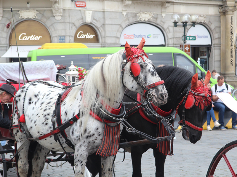 Hello Prague: Street Artists, Performers And Horses!