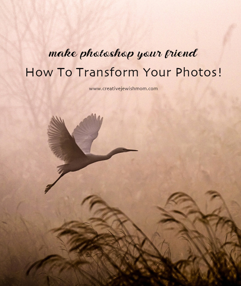 Amazing Photoshop Effects That Might Interest You