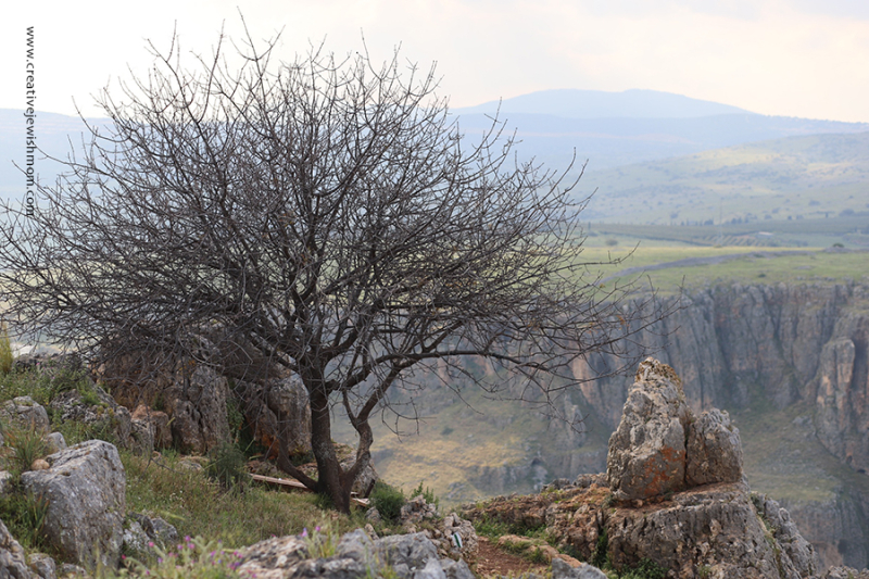 The Ancient Caves Of Mt. Nitai In Tiveria, Israel