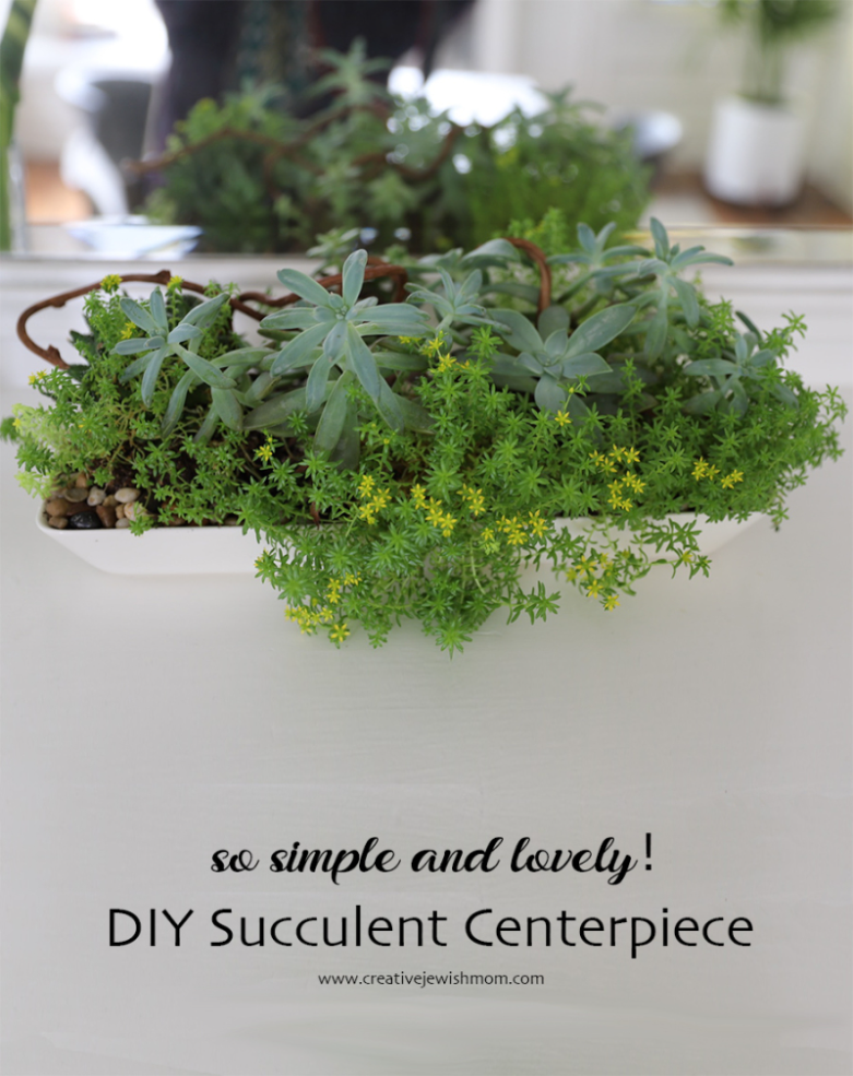 Simple DIY Succulent Centerpiece For Any Occasion