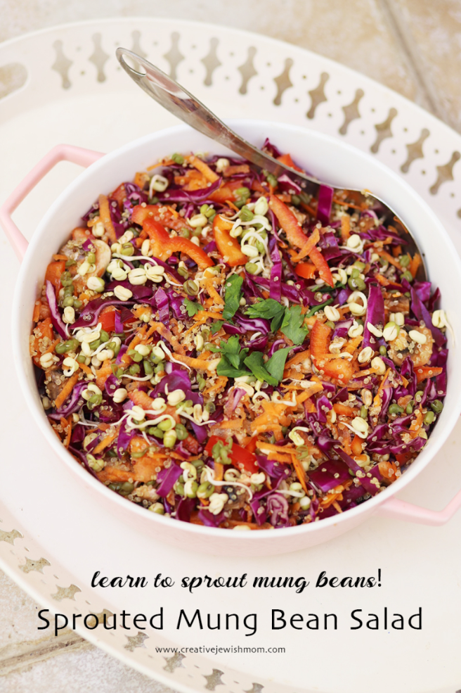 How To Sprout Mung Beans And Use Them In A Colorful Salad!