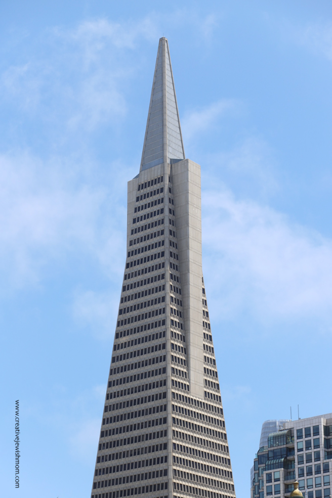 Iconic San Franciso Landmarks To Enjoy From The Hop-On Hop-Off Bus!