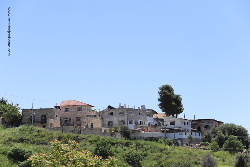 Summer Volunteer Opportunities In Israel