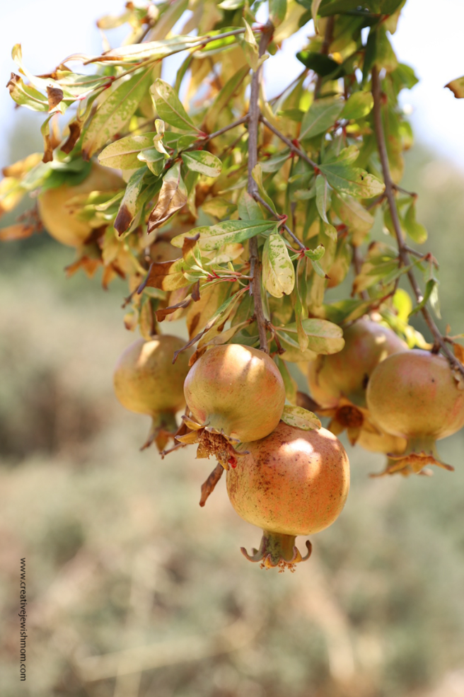 Embracing The New Year By Moving on From Loss