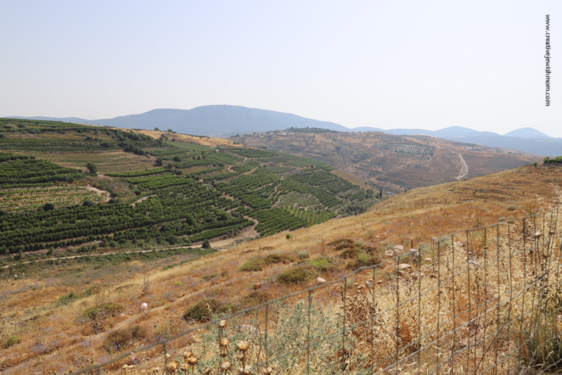 A Visit To Kerem Ben Zimra, Northern Israel