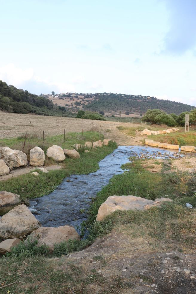 A Visit To The Tzippori River Promenade