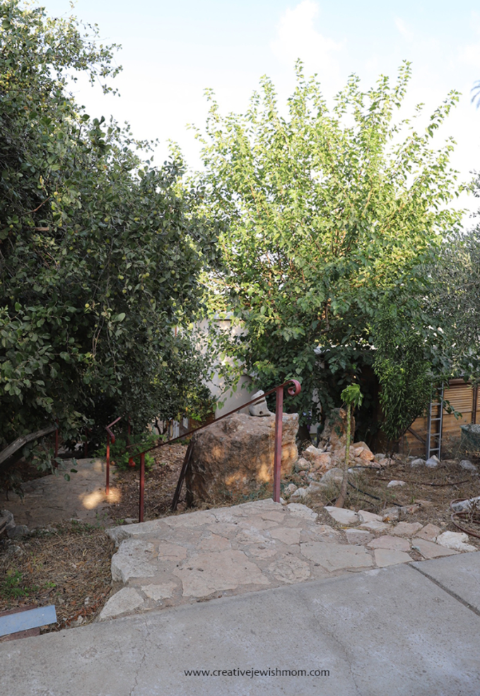A Vacation Rental Under The Grape Vine In Kibbutz Harduf