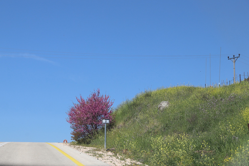 Stunning Views From The Car On A Golan Heights Road Trip