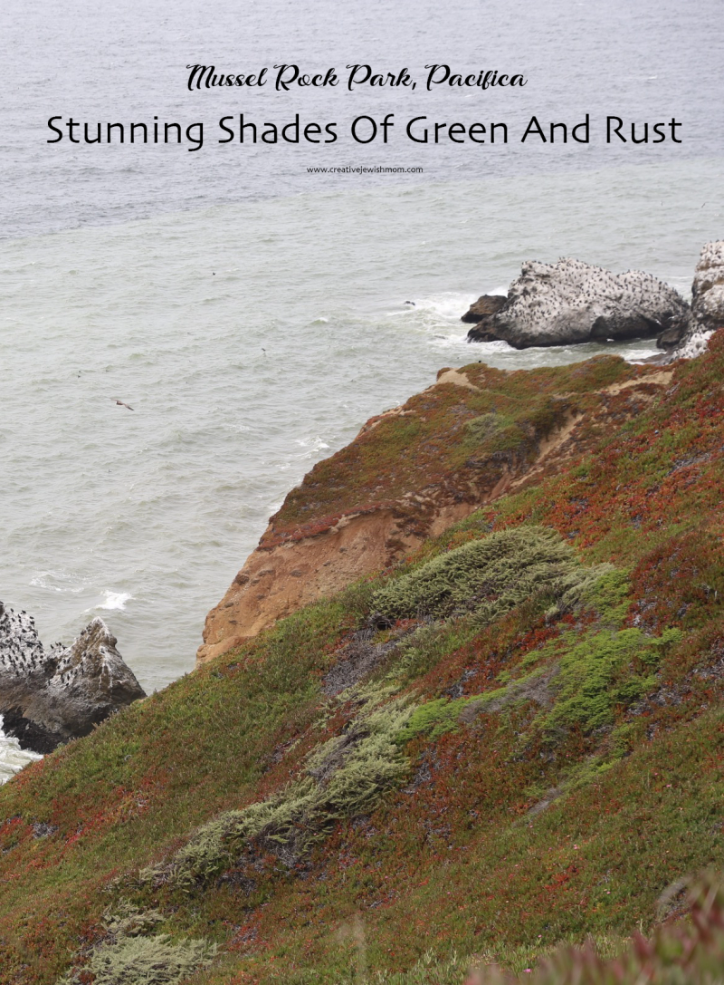 Visit The Colorful Cliffs At Mussel Rock Park In Pacifica