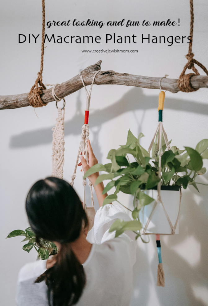 DIY Macrame Plant Hanger Inspiration