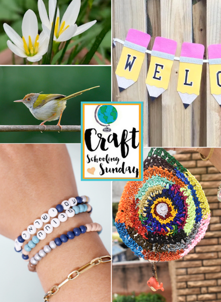 Welcome To Craft Schooling Sunday