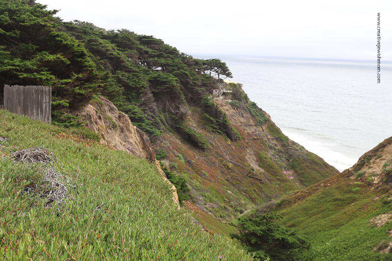 Pacifica-CA-green-cliffs-over-mussel-rock