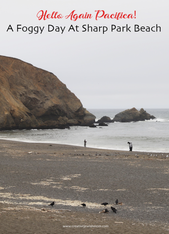 A Visit To Sharp Park Beach In Pacifica, CA On A Foggy Summer Day