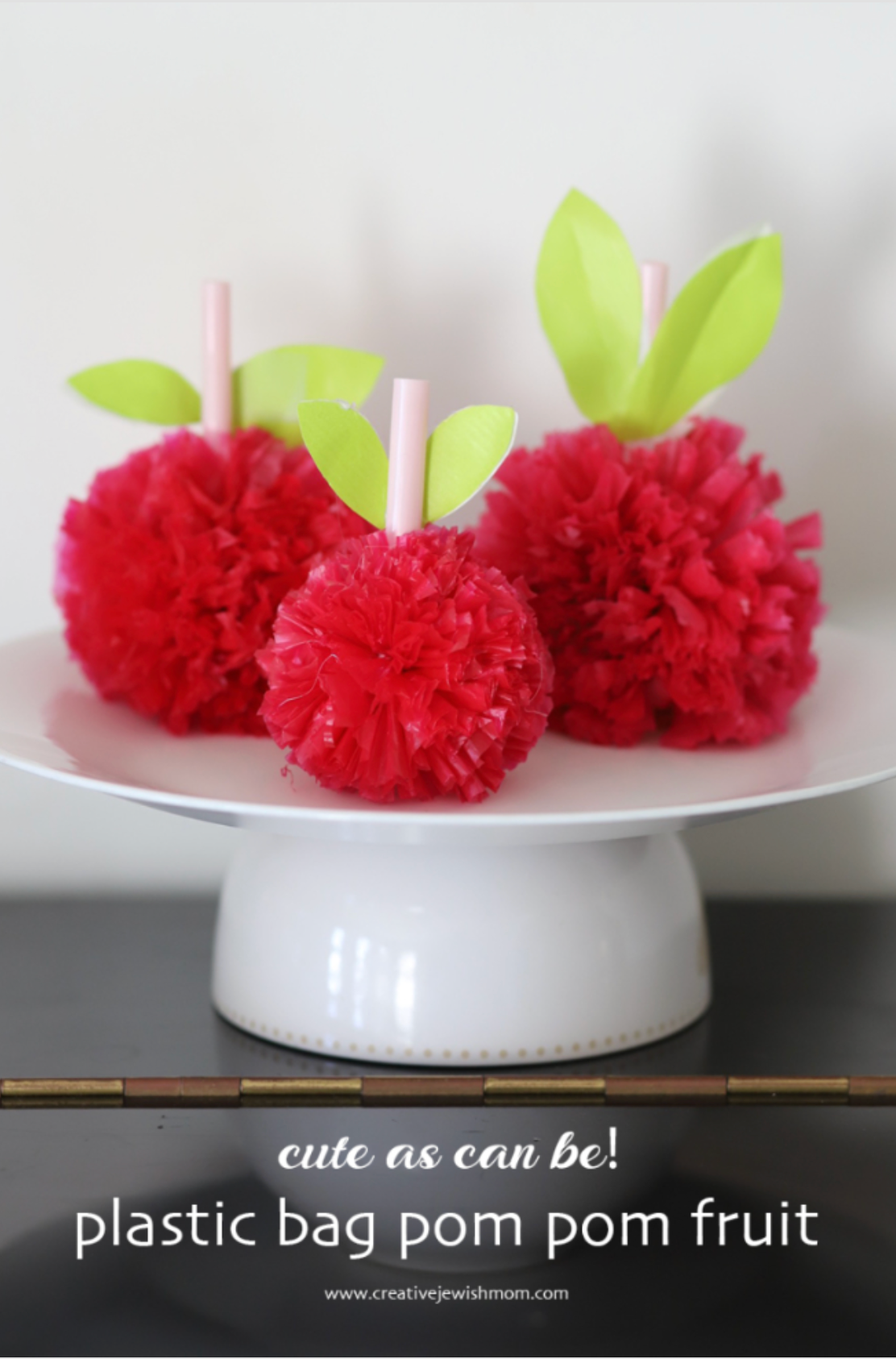 How To Make Pom Pom Fruit From Plastic Bags
