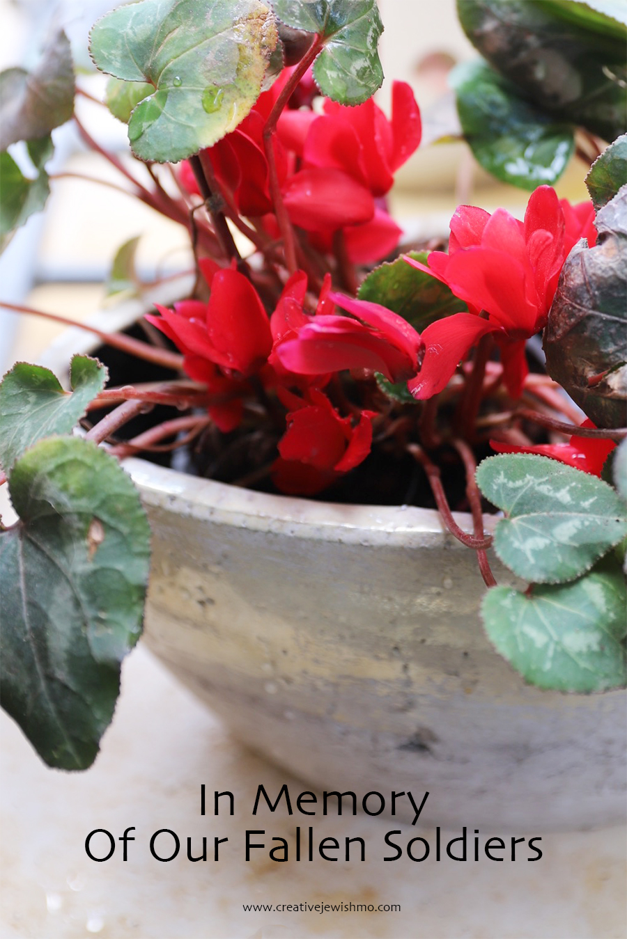 Today Is Yom HaZikaron, Memorial Day