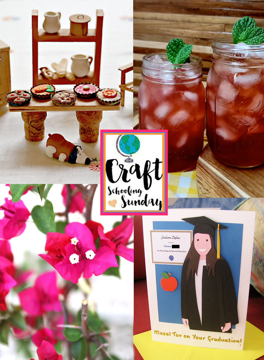 Welcome To Craft Schooling Sunday