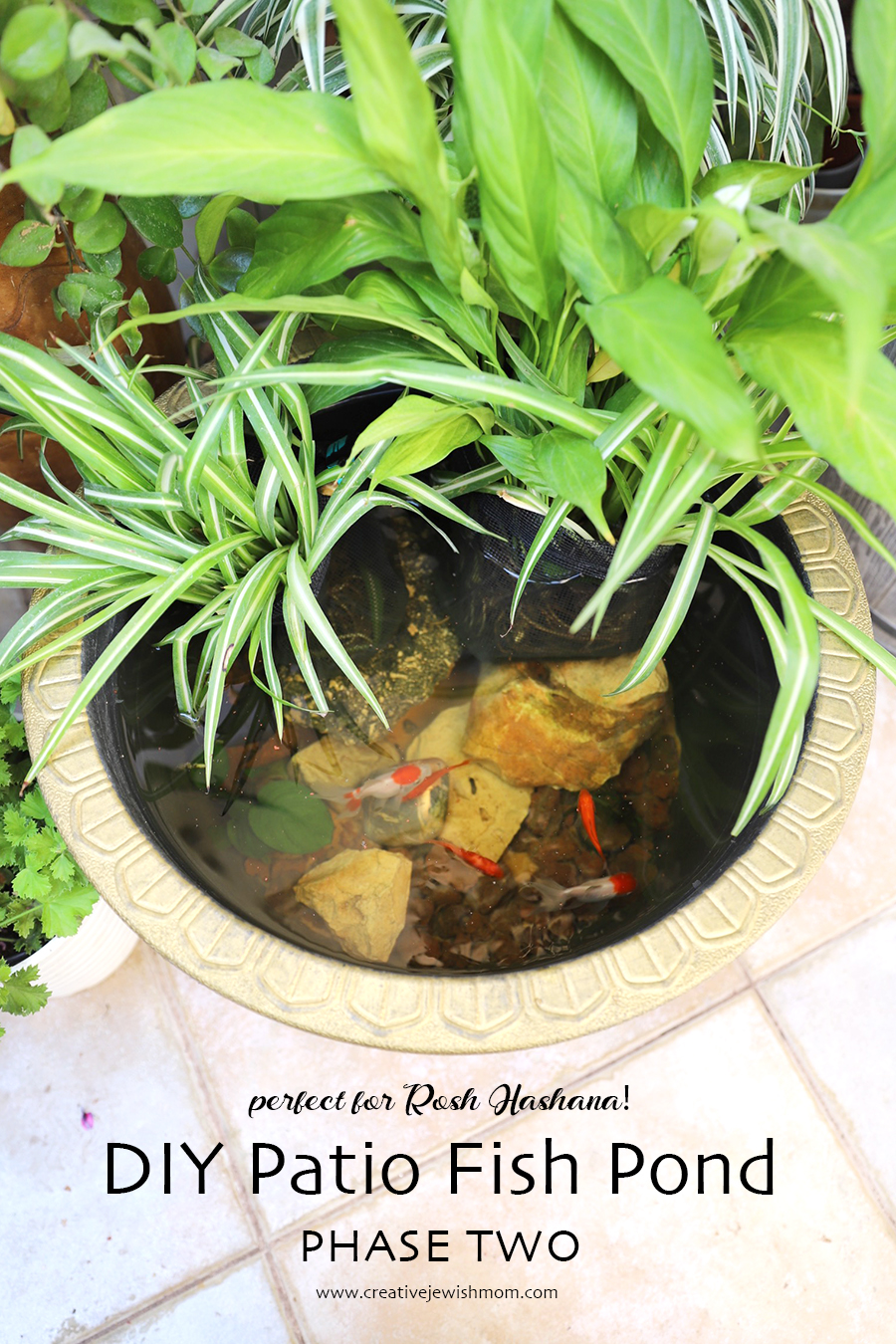 How To Make A DIY Patio Fish Pond With Goldfish